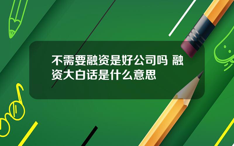 不需要融资是好公司吗 融资大白话是什么意思